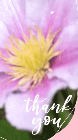 Flower Garden Thank You GIF by TeaCosyFolk
