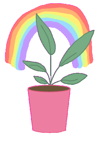 Animated Sticker