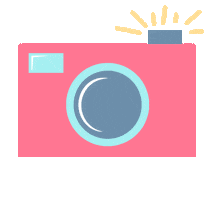Photo Camera Sticker by LOSAN