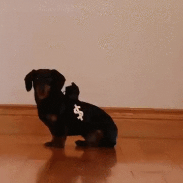  funny dog cute police costume GIF