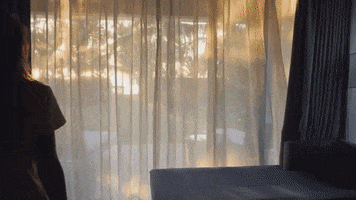 cochaviajes GIF
