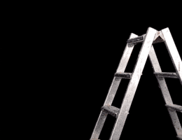 Redknights GIF by Red Knights Tübingen