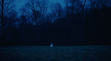 White Dress Ghost GIF by Pure Noise Records