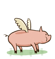 images pigs GIF