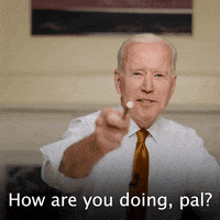 How You Doing Joe Biden GIF by The Democrats