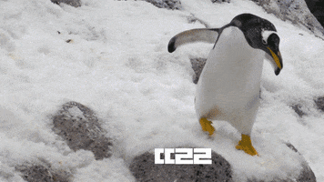 HAPPYCALL GIF