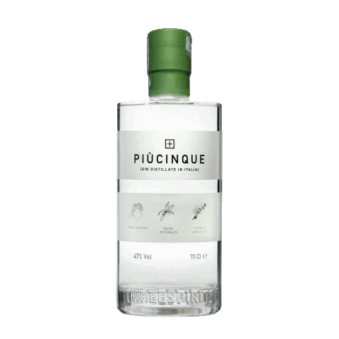 PiùCinque Sticker