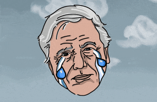 David Attenborough Crying GIF by Comms INC
