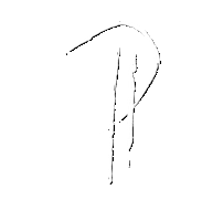 P Sticker
