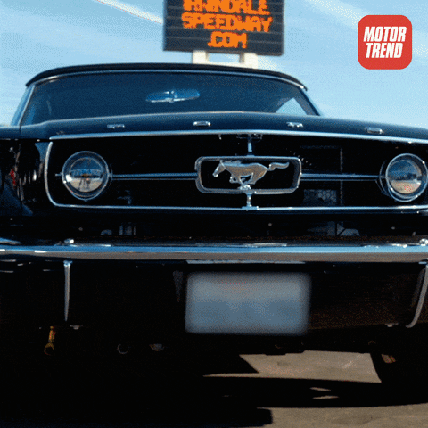 Super Sport Mustang GIF by MotorTrend