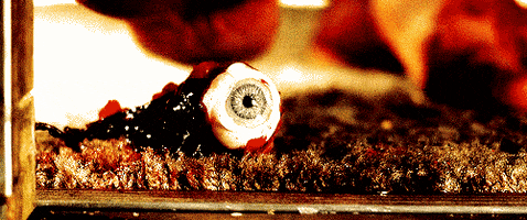200.gif