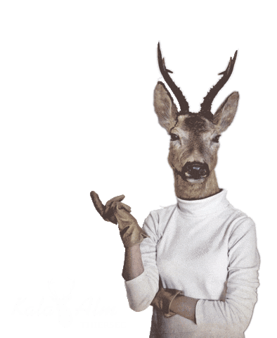 Kala Alm Sticker