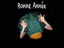 Cirque GIF