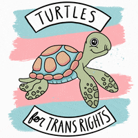 Trans Day Of Visibility Pride GIF by Fox Fisher