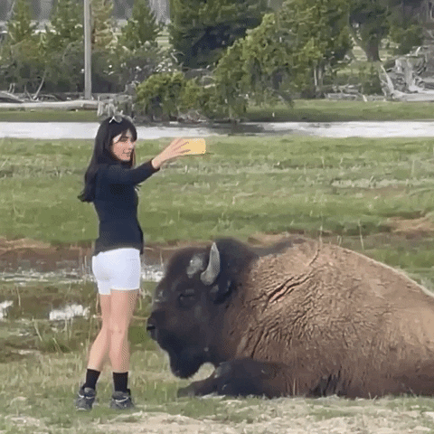 Selfie Buffalo GIF by Storyful