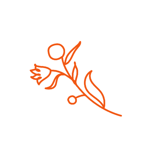 Perrigo Fr Sticker