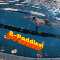 E-Paddles GIF