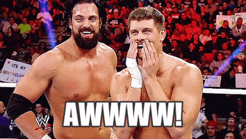 TV gif. Aron Stevens smiles and catches his breath, looking in the same direction as the other wrestler in the WWE ring, who wipes the sides of his mouth smiling proudly. Text, "Awwww!"