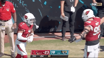 Arizona Cardinals Hug GIF by NFL