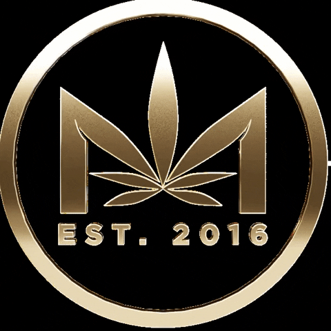 GIF by Dime Industries Official