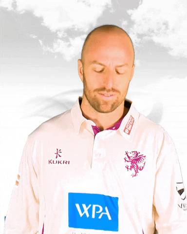 England Cricket Facepalm GIF by Somerset County Cricket Club