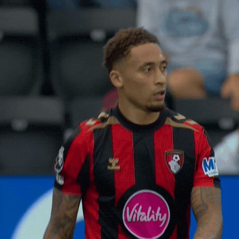 GIF by AFC Bournemouth