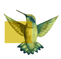 Watercolor Naturaleza Sticker