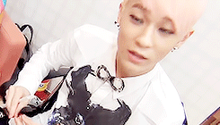 ljoe