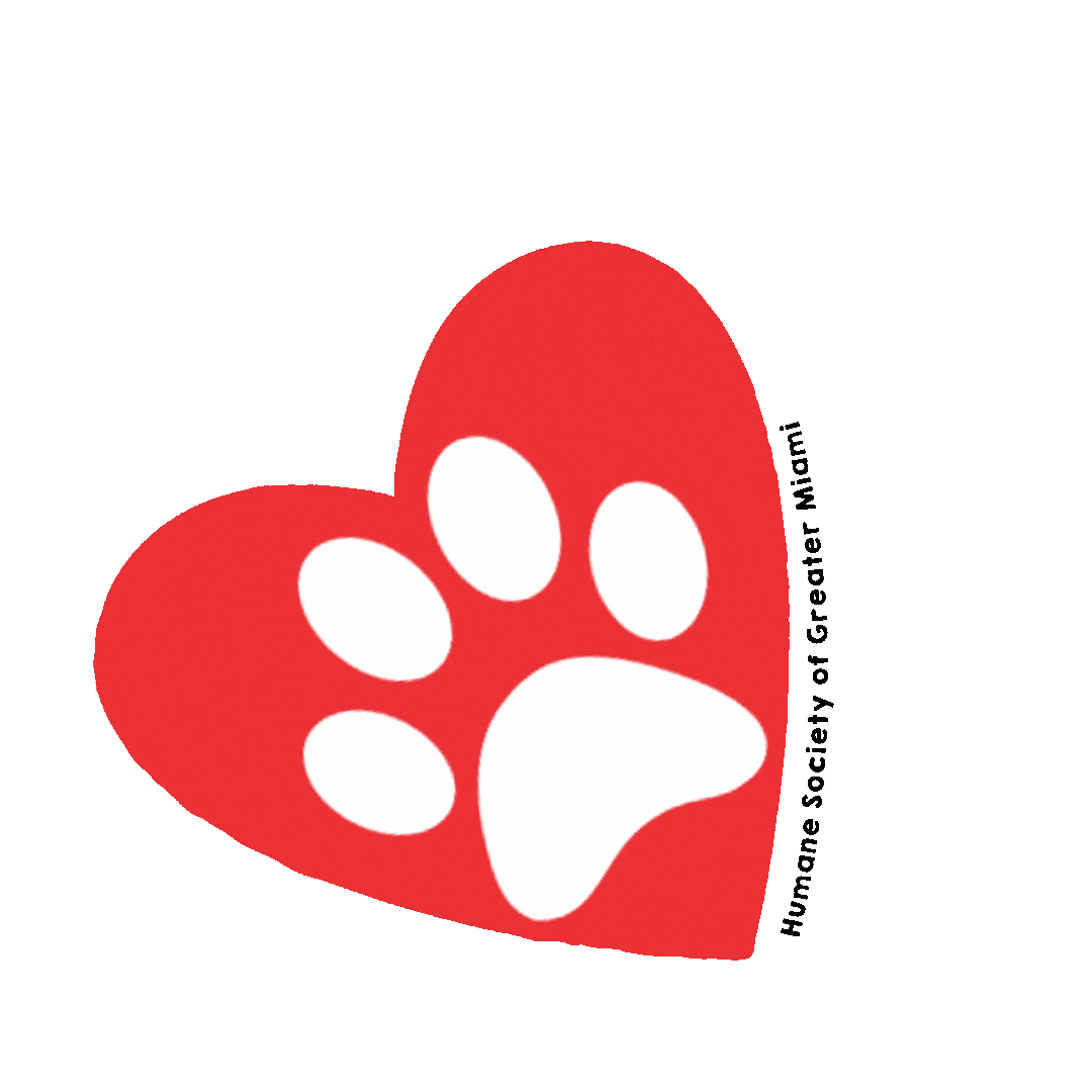 New Post Adopt Dont Shop Sticker by Humane Society of Greater Miami