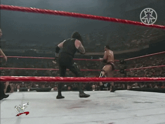 6. NO DQ Match for the TNW Elite Championship > The Rock (c) vs. The Undertaker - Page 2 Giphy