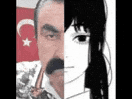 Turkey Asa GIF