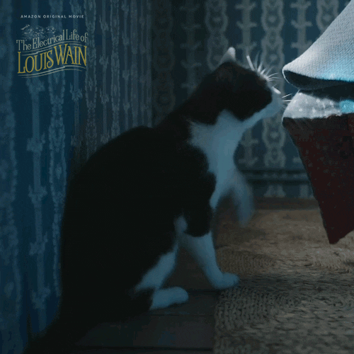 Cat Sniffing GIF by Amazon Prime Video
