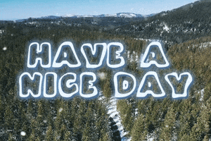 Have A Nice Day Christmas GIF by Yevbel