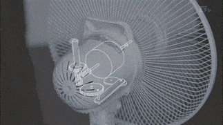 fan