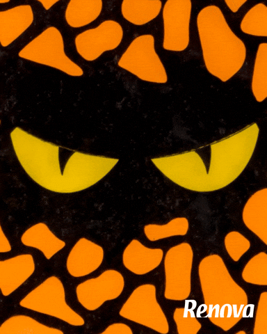 Enough Is Enough Fun GIF by MyRenova