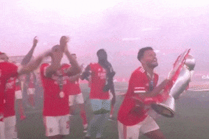 Portugal Benfica GIF