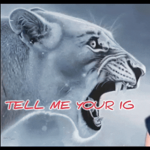 Instagram Humour GIF