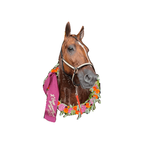 bergsakerstravet Sticker