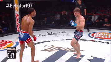 fight face GIF by Bellator
