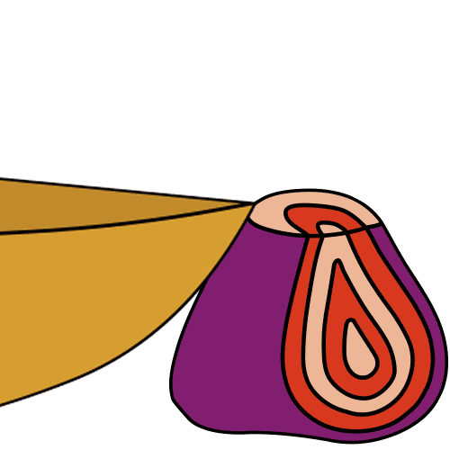 Shyhammy Sticker by Fairweather Cider Co.