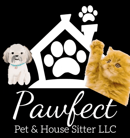 Pawfect Pet Sitter GIF