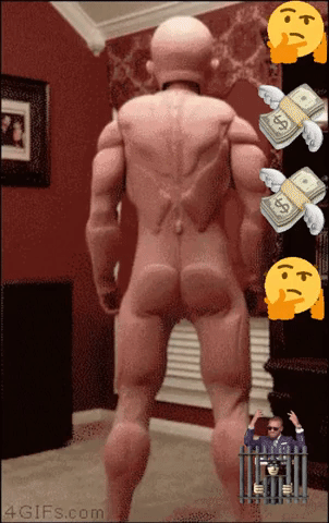 Conor Mcgregor Ufc GIF