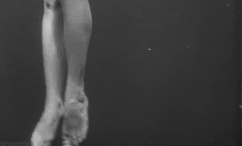 creature from the black lagoon