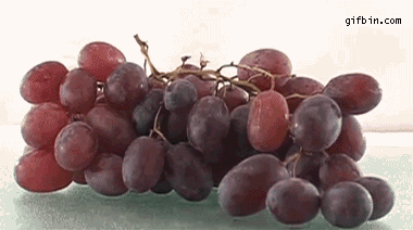 grapes shriveling into raisins truths