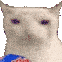 Cat GIF