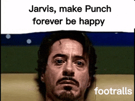 Punch GIF