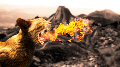 Spit Fire GIFs Get The Best GIF On GIPHY