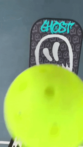 Ghost Pickleball GIF