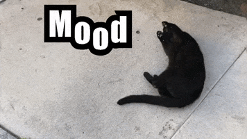 Mood GIF by Triton_CopyWriting