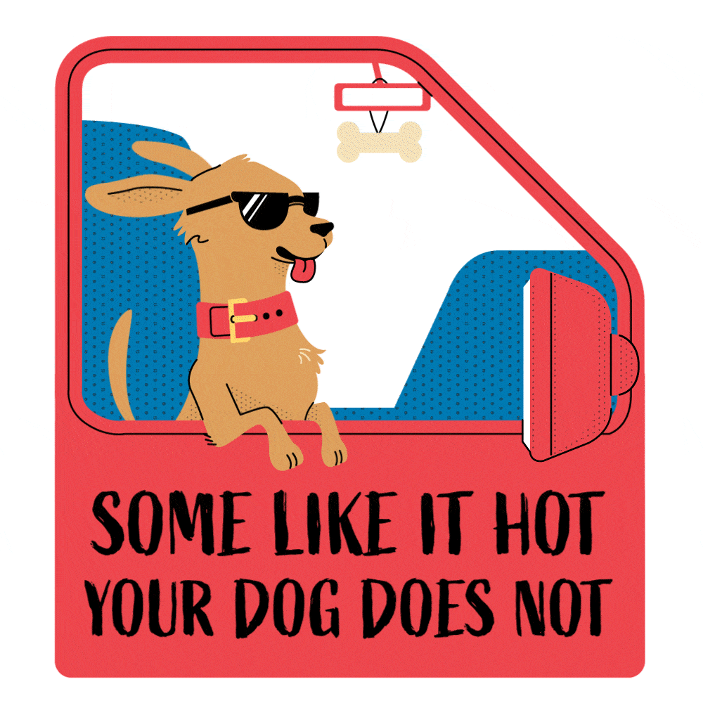 Some Like It Hot Water GIF by Boston Animal Shelter
